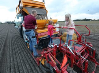 spring planting