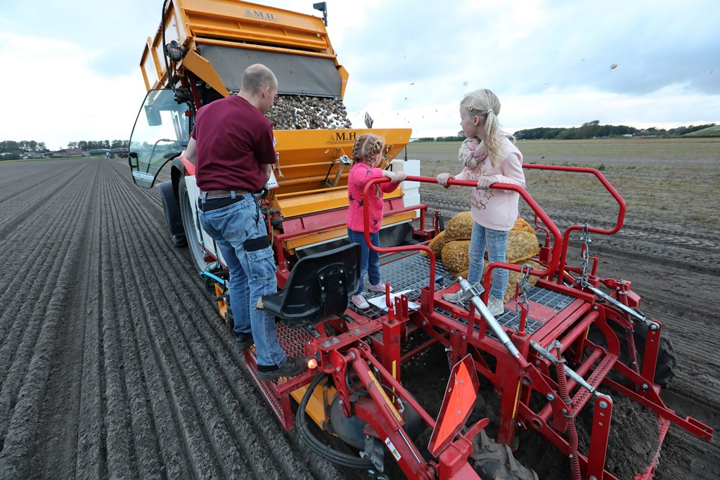 spring planting