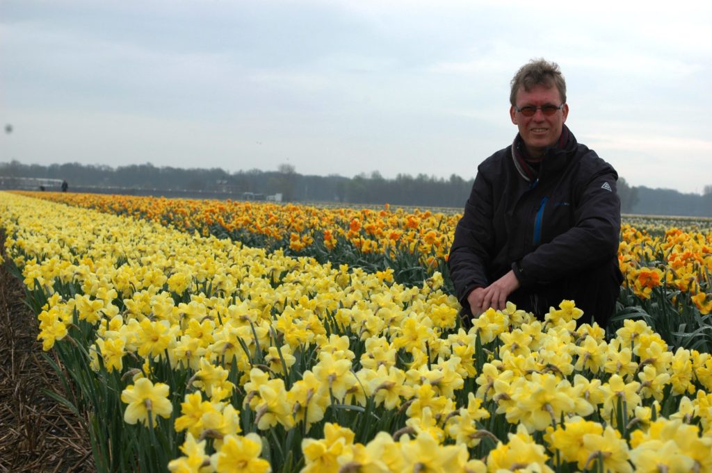 Guest blog Arie Dwarswaard: Enthusiasm with no end - Dutch Daffodils